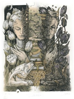 LIBER NOVUS VIII