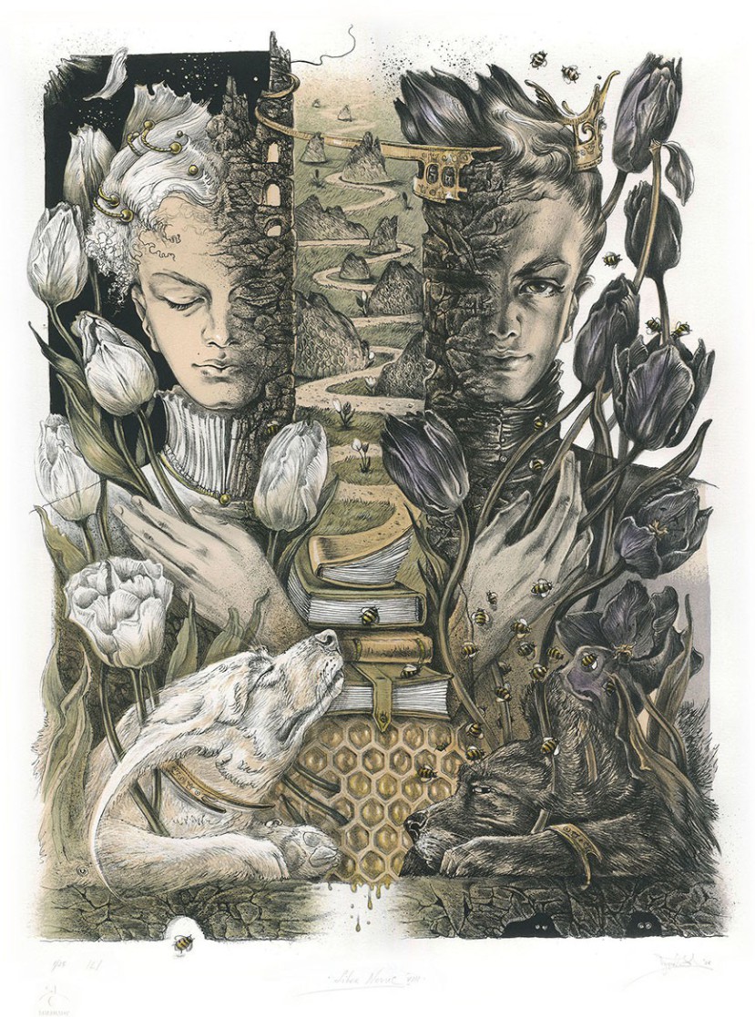 LIBER NOVUS VIII
