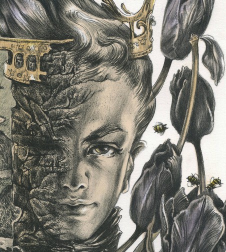 LIBER NOVUS VIII
